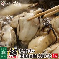 カキ 1kg 広島県産（かき 牡蠣） 
