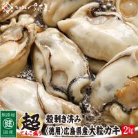 カキ 2kg 広島県産（かき 牡蠣） 