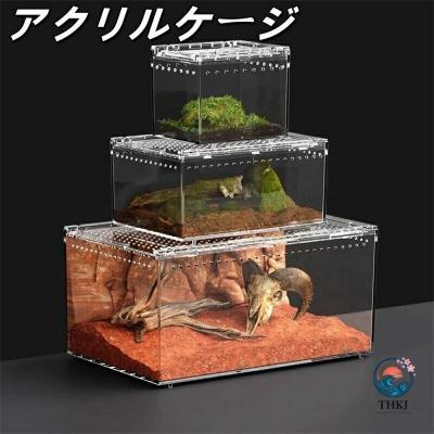 アクリル ケージ 60cm（爬虫類、両生類用品） | ペット用品、生き物 の