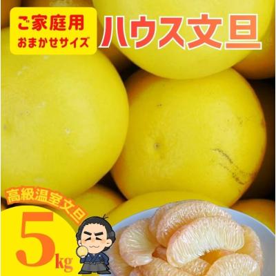 産直龍馬くん - 文旦｜Yahoo!ショッピング