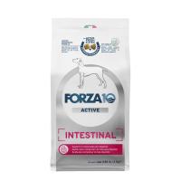 【賞味期限2026年10月31日】FORZA10 インテスティナルアクティブミディアム（中粒）4kg【フォルツァディエチ】【犬用療法食】【正規品】 | サクラソーケンネル ヤフー店