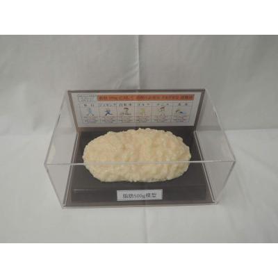 楽天市場】体脂肪 体重計（プラモデル・模型｜ホビー）の通販