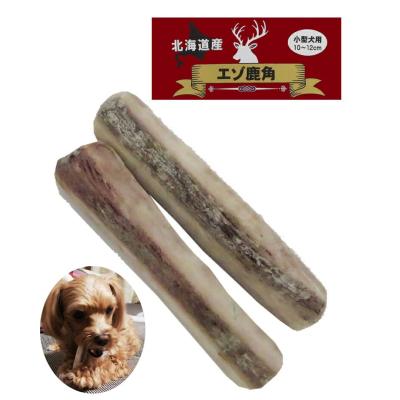 エゾシカ角 北海道のおすすめ人気商品一覧 通販 - Yahoo!ショッピング