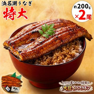 ヤツメウナギの商品一覧 通販 - Yahoo!ショッピング