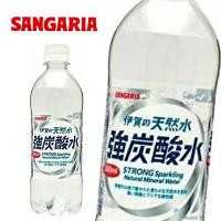 【送料無料(※東北・北海道・沖縄除く)】サンガリア 伊賀の天然水 強炭酸水 500mlPET×24本入 1ケース | 産直ヤフー店