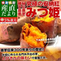 鹿児島県より産地直送 種子島安納紅「みつ姫」 約1.8キロ 送料無料 さつまいも 唐芋 からいも カライモ 