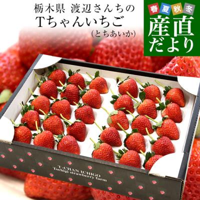 tちゃんいちご 商品一覧 - 産直だより - 売れ筋通販 - Yahoo tちゃんいちご 商品一覧 - 産直だより - 売れ筋通販 - Yahoo