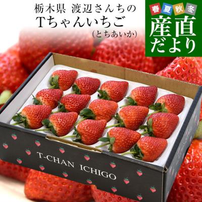 楽天市場】いちご 苺 とちあいか ぎっしり詰め2.4kg(1.2kg x 2箱