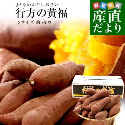 栗かぐやのおすすめ人気商品一覧 通販 - Yahoo!ショッピング