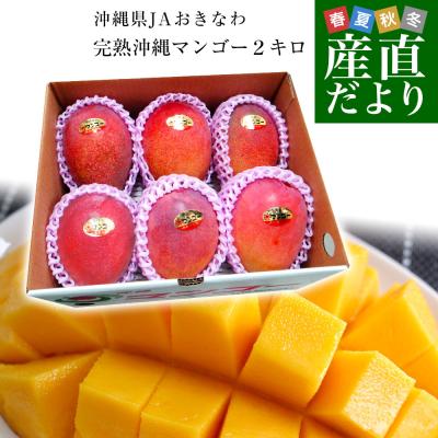 マンゴーの商品一覧 通販 - Yahoo!ショッピング