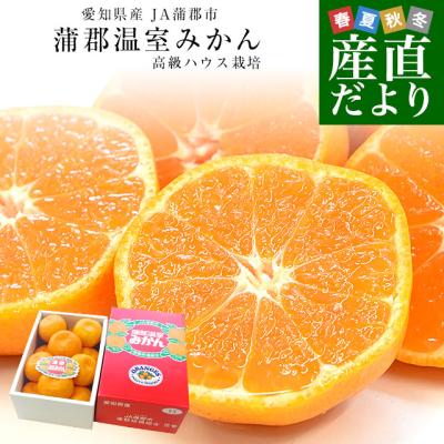 蒲郡みかんのおすすめ人気商品一覧 通販 - Yahoo!ショッピング
