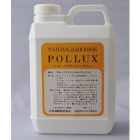 ポルックスリンス（液体2リットル） | 三共油脂ストア