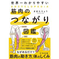 世界一わかりやすい 筋肉のつながり図鑑 | Unfold