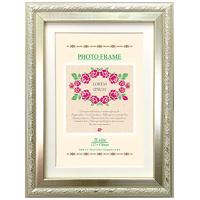 万丈 VANJOH Nフレーム 2009 2L/KG判 シルバー 105-570 | 早緑月