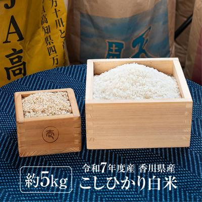 コシヒカリ 無洗米 5kg（食品）（産地：香川）のおすすめ人気商品一覧