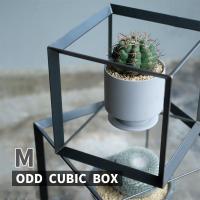 ODD CUBIC BOX(M) ディスプレイボックス アイアン キューブ 鉢植え ガーデニング 4589824362908 ウエストビレッジ | 雑貨・Outdoor サンテクダイレクト