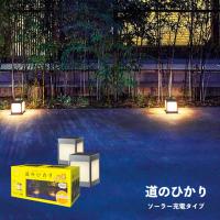 LEDIUS HOME ひかりノベーション SC 道のひかりセット SUN CHARGE 2台入 屋外用 LGS-LH01P タカショー | 雑貨・Outdoor サンテクダイレクト