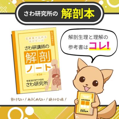 自分だけのノート さわ研 解剖ノート : 看護国試専門予備校さわ研究所