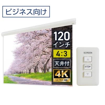 シアターハウス プロジェクタースクリーン　120インチ 120インチプロジェクタースクリーン | プロジェクタースクリーン