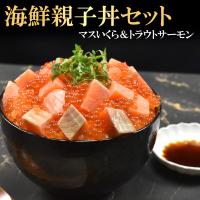 海鮮丼 2種セット イクラ サーモン お刺身用 ギフト 手巻き寿司 2023 お祝い 新年会