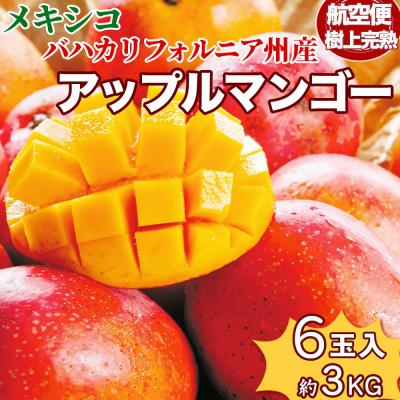 四季の広場 - マンゴー｜Yahoo!ショッピング
