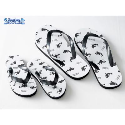 鴨川シーワールドオルカショップ - その他｜Yahoo!ショッピング