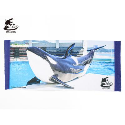 鴨川シーワールドオルカショップ - 55th商品グッズ｜Yahoo!ショッピング