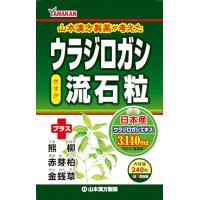 山本漢方製薬 ウラジロガシ 流石粒 240粒 | セバスストア