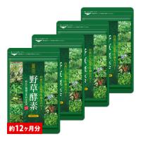 サプリ サプリメント 生酵素 酵素　野草酵素 BIGサイズ約1年分 サプリ ダイエットサプリ 簡単 ダイエット | シードコムスYahoo!店