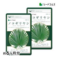 ノコギリヤシ ランキングtop45 人気売れ筋ランキング Yahoo ショッピング