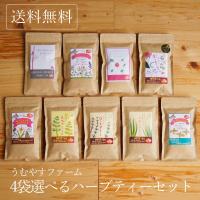 ハーブティーのプチギフト おしゃれなパッケージのおすすめランキング 1ページ ｇランキング