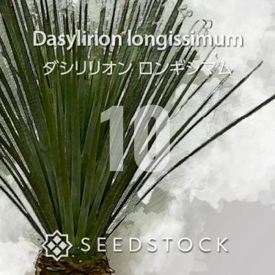 ダシリリオン（花、ガーデニング）のおすすめ人気商品一覧 通販