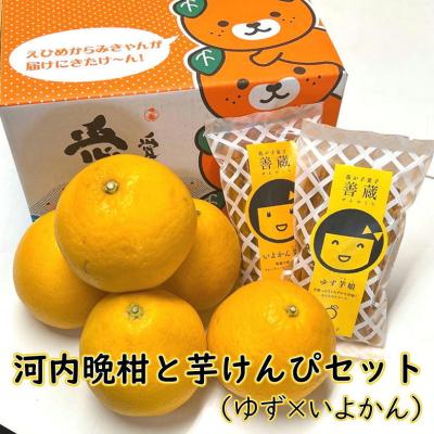 ゆず（みかん、柑橘類）｜フルーツ | 食品 の商品一覧 通販 - Yahoo