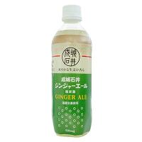 リニューアル【送料込み】成城石井 ジンジャーエール 500ml×24本【ケース販売】 | 成城石井(公式)Yahoo!ショッピング店