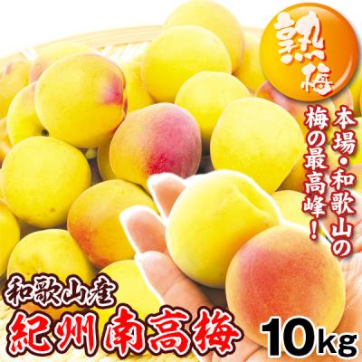 食みらい・国華園 - 青梅・生梅｜Yahoo!ショッピング