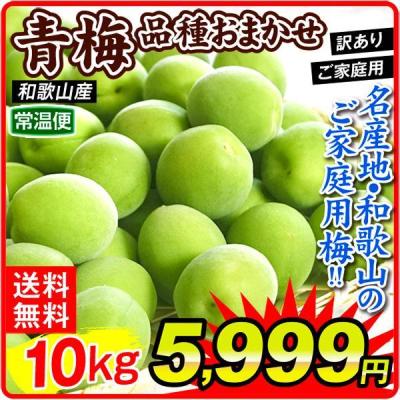 食みらい・国華園 - 青梅・生梅｜Yahoo!ショッピング