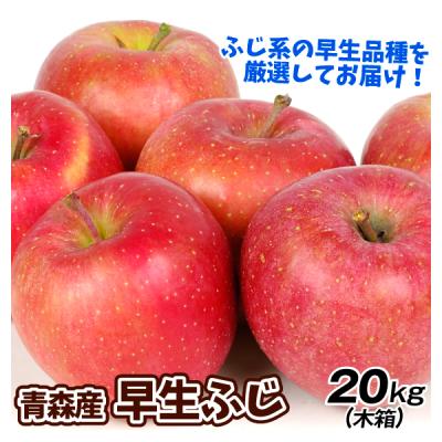 B級品サンふじ・王林詰合せ20キロ用木箱サイズダンボール詰わけあり否