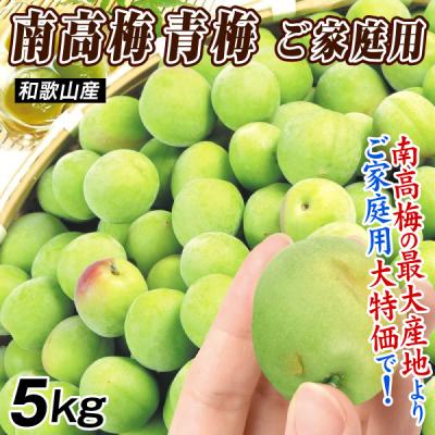 食みらい・国華園 - 青梅・生梅｜Yahoo!ショッピング