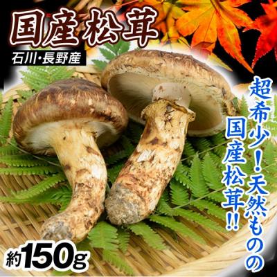 長野県産松茸 送料無料】長野県産松茸 200g