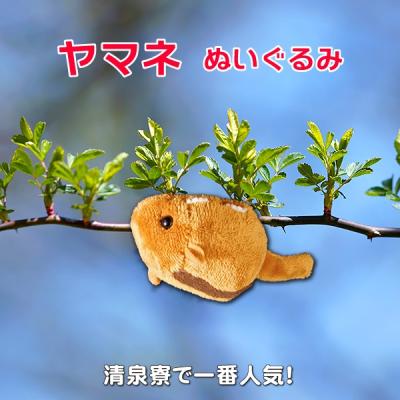 清泉寮ネットショップ - ぬいぐるみ|Yahoo!ショッピング 清泉寮ネットショップ - ぬいぐるみ|Yahoo!ショッピング
