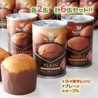 非常食 パンの缶詰 備蓄deボローニャ 6缶セット 箱入り 缶入りソフトパン 防災食品 3種×各2缶セット 計6缶 プルトップ缶 保存食 防災グッズ 長期保存 備蓄食