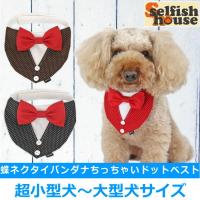 愛犬をおしゃれに変身 犬用ヘアアクセサリーのおすすめランキング 1ページ ｇランキング