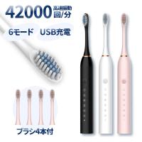 電動歯ブラシ 6モード 替えブラシ4本 USB充電 高速振動 42000回/分