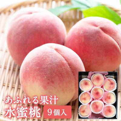 川中島白桃（食品）のおすすめ人気商品一覧 通販 - Yahoo