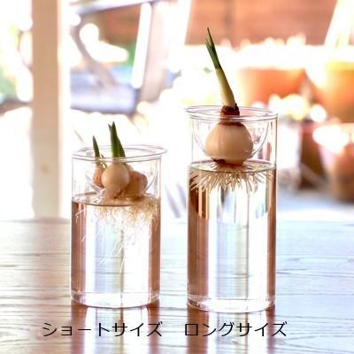 ヒヤシンス 花瓶のおすすめ人気商品一覧 通販 - Yahoo!ショッピング