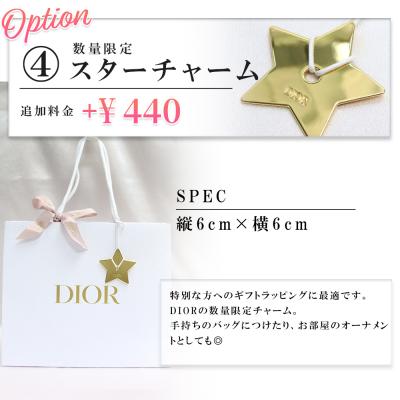 Dior 星型チャーム 4個セット Christian Dior（クリスチャン・ディオール） DIOR スター チャーム