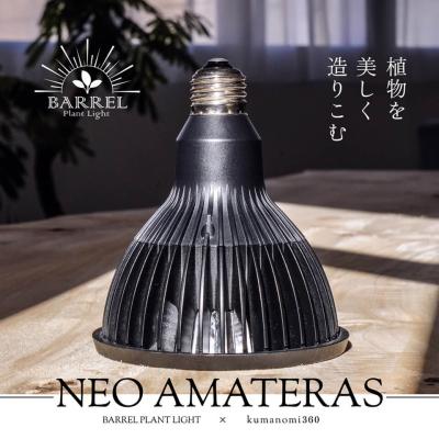 アマテラス LED AMATERASLED 10Wライト2個セット アマテラス 【LED 10W