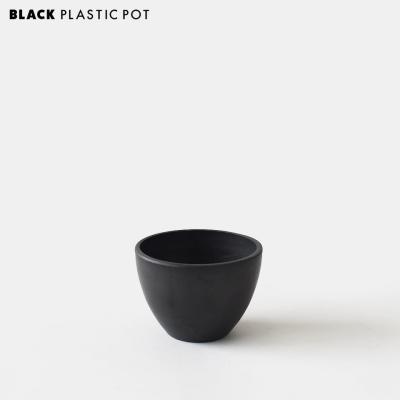 SHALLOWPLANTS - プラスチック製｜Yahoo!ショッピング