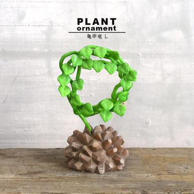 亀甲竜のおすすめ人気商品一覧 通販 - Yahoo!ショッピング