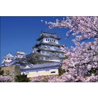 PT-002 桜咲く姫路城 | 風景カレンダーの写真工房ストア